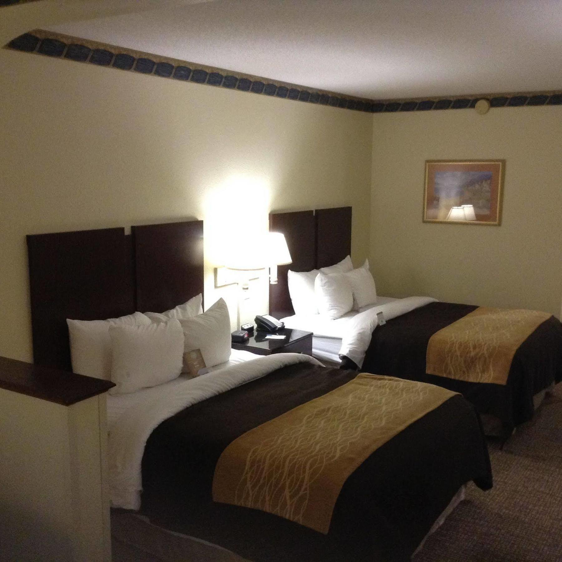 Comfort Inn & Suites Ftjackson Maingate Columbia Exterior foto